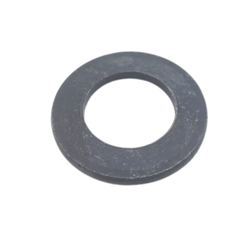 3000 0119 01 (Washer)